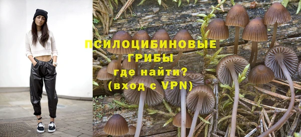 первитин Костерёво
