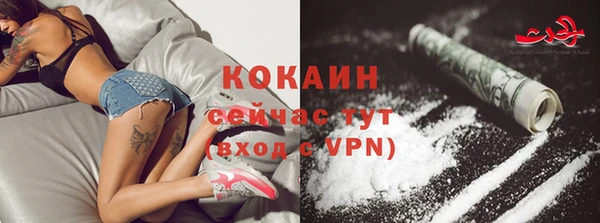 первитин Коряжма